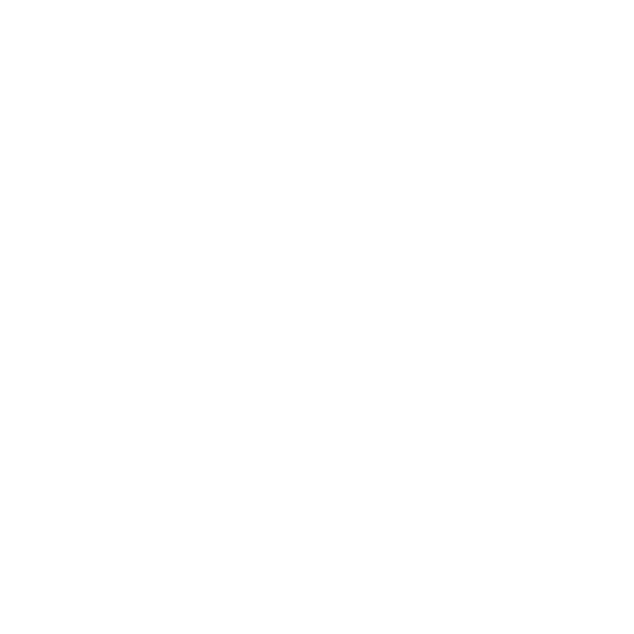 Dynamic