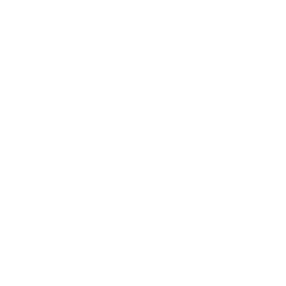Styles Design
