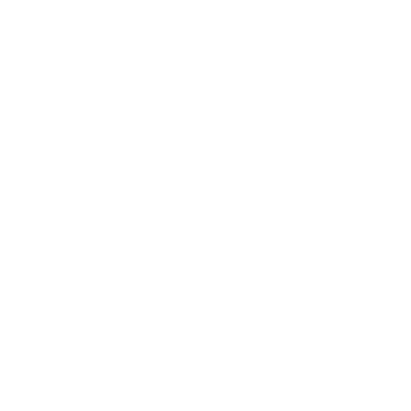 V+Starr_2024+Logo+v4
