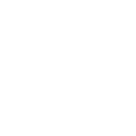 lote deisgn studio